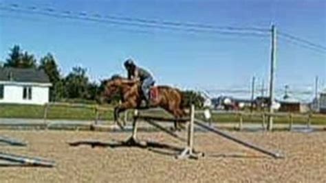horse flare porn|Giant Horse Flare Porn Videos .